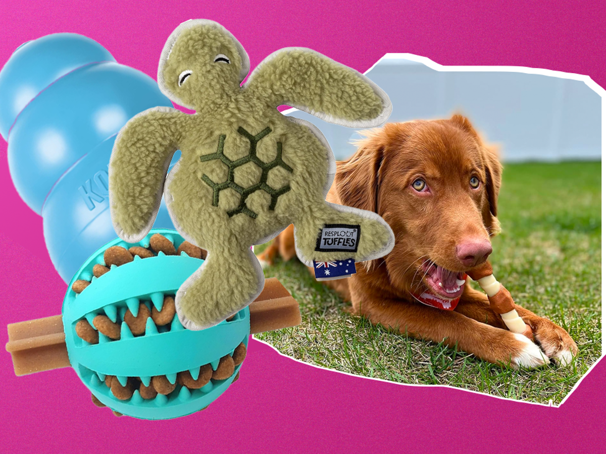 Best toys for mental stimulation for dogs clearance